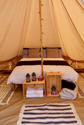 The Paddock Glamping